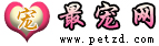 最宠网