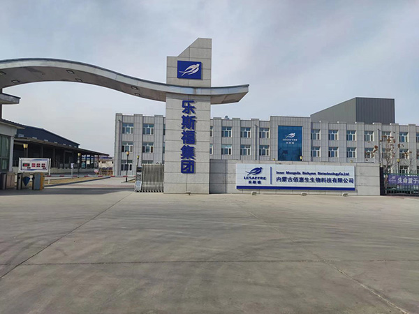 法国乐斯福集团内蒙古佰惠生生物科技管道电伴热项目