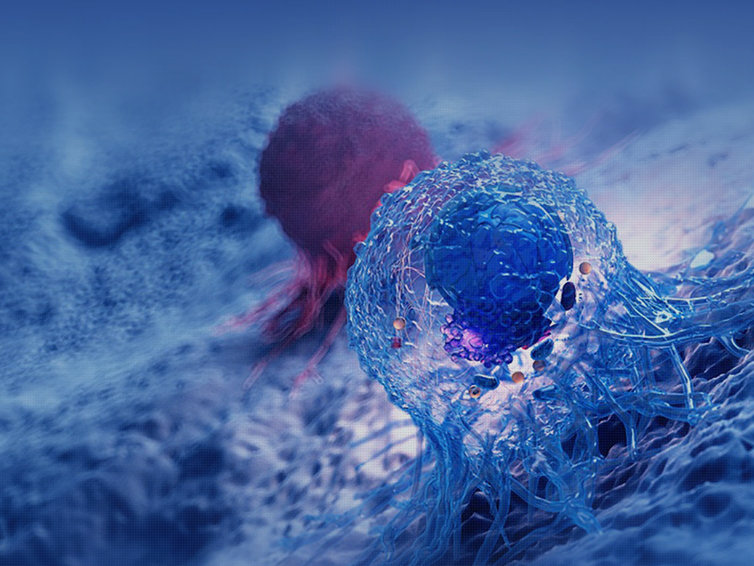 南京贝特尔生物科技有限公司