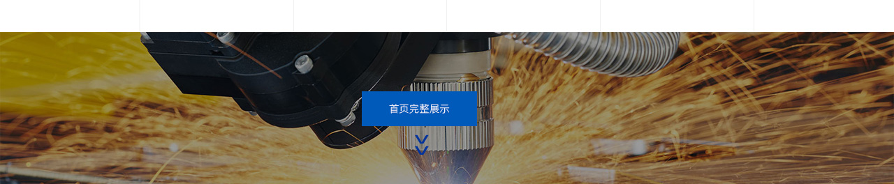 胜泰科技网站建设案例