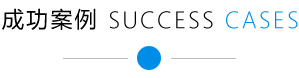 成功案例