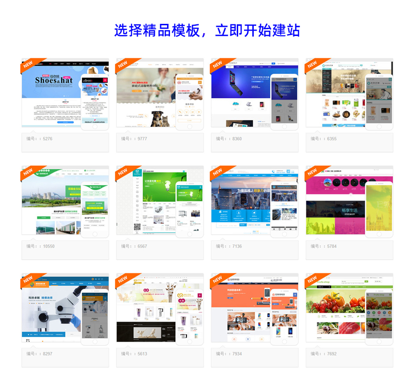 网站模板 网站模板