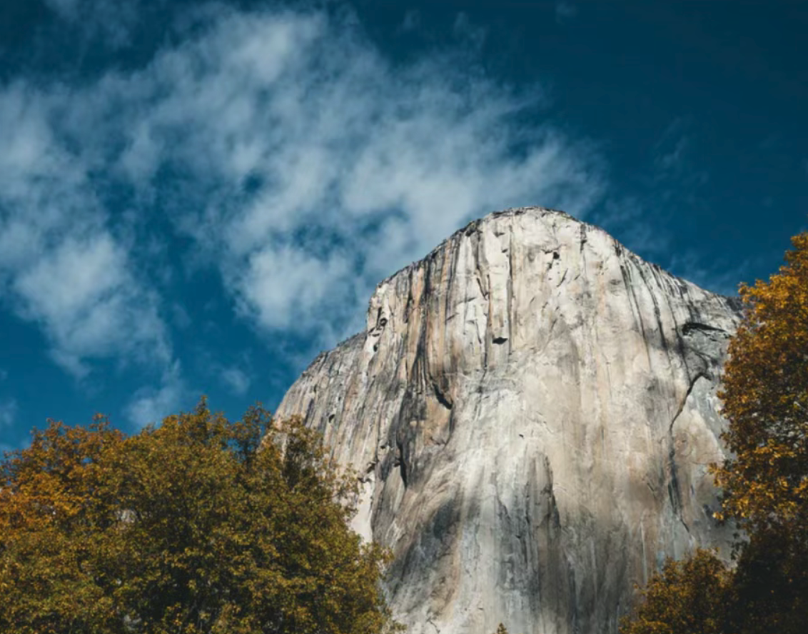 Protect What Matters