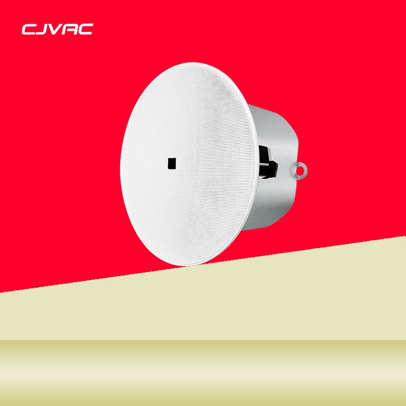 6.5寸吸顶喇叭CX-201-6