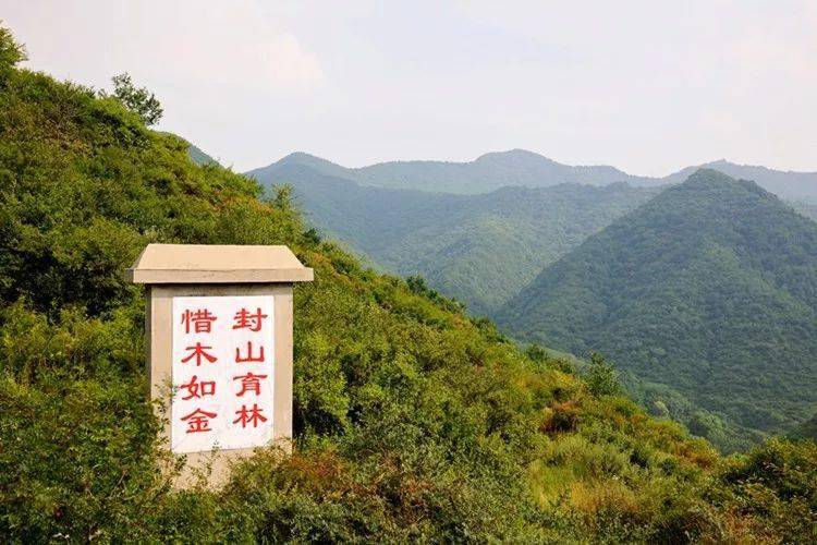 曲水县今年人造林项目已基本完成