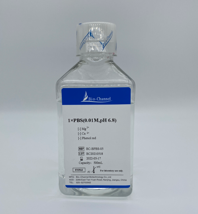 1×PBS(0.01M,pH6.8) BC-BPBS-05