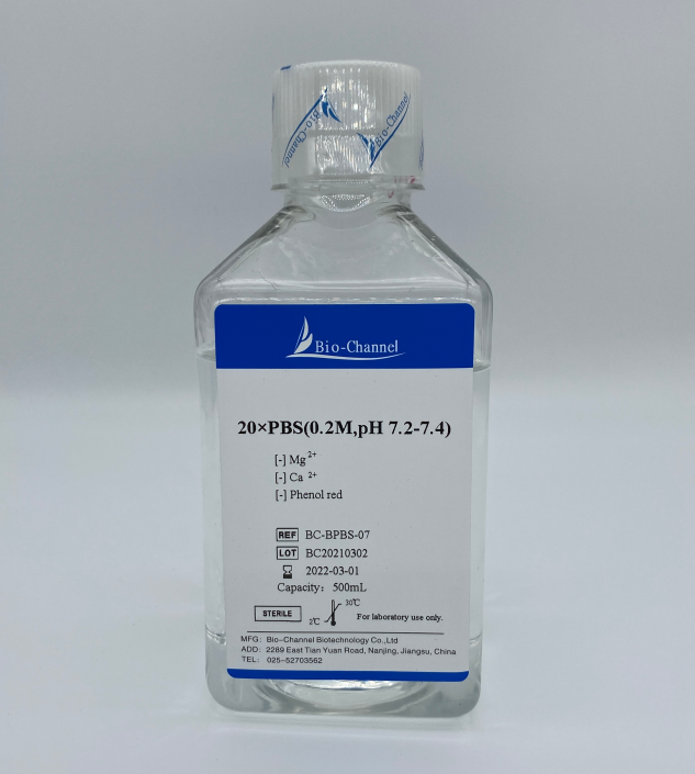 20×PBS(0.2M,pH 7.2-7.4) BC-BPBS-07