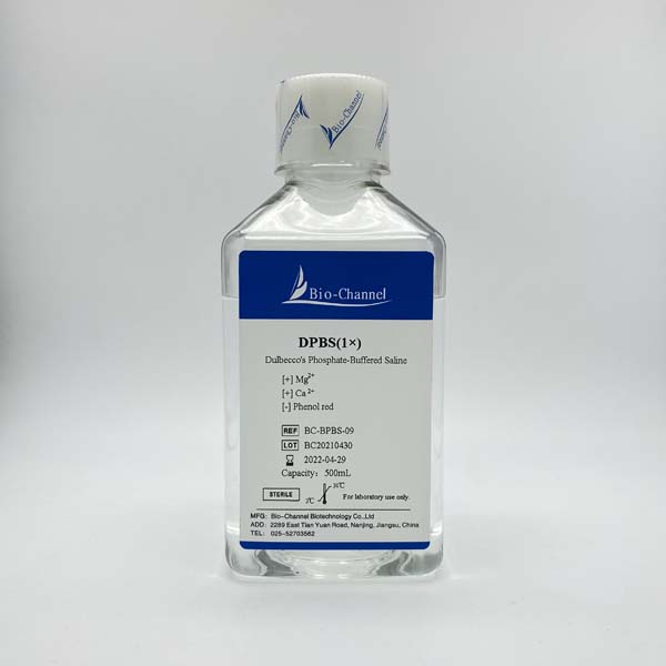 Dulbecco's磷酸鹽緩沖液（DPBS），含鈣、鎂，不含酚紅 BC-BPBS-09