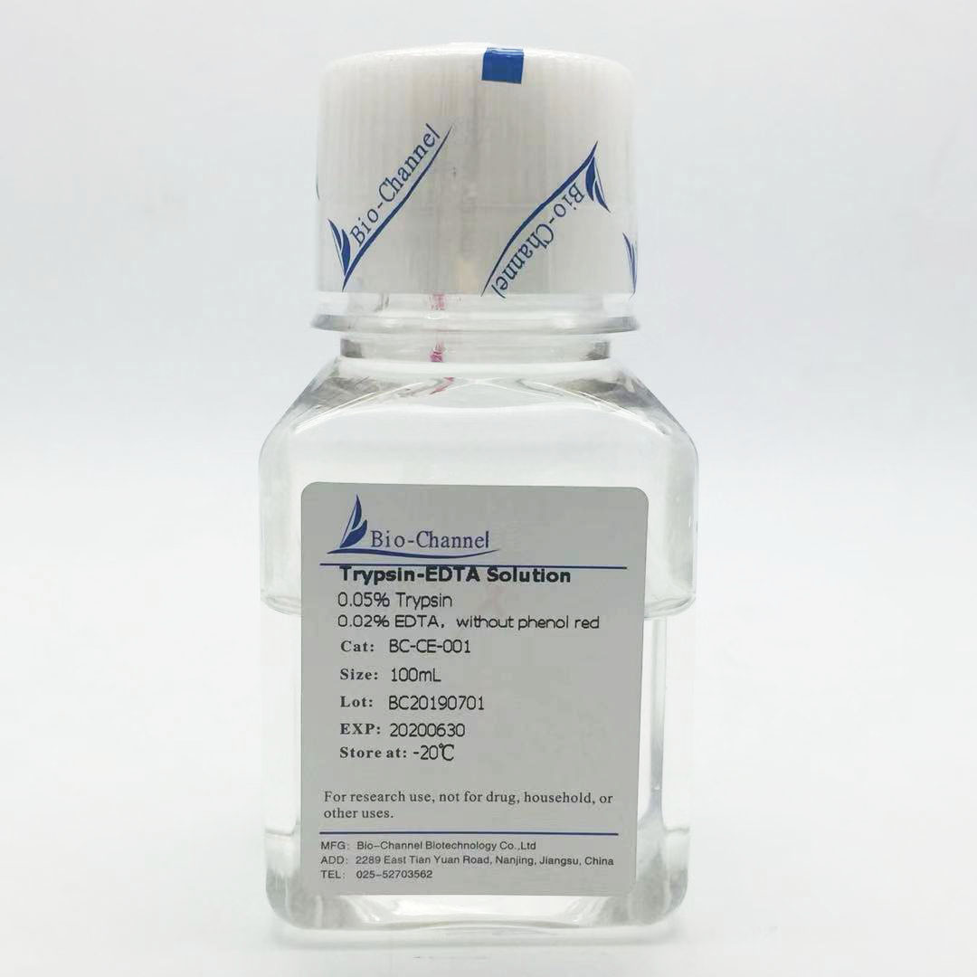胰酶-EDTA消化液(0.05%胰酶，不含酚红) BC-CE-001