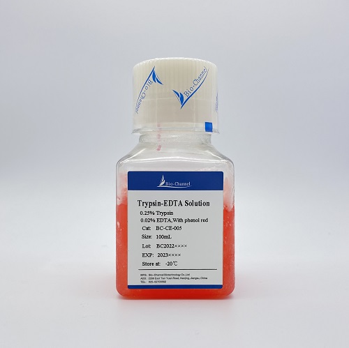 胰酶-EDTA消化液(0.25%胰酶, 含酚紅) BC-CE-005