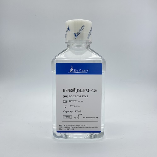 HEPES液(1M,pH 7.2～7.5) BC-CE-016-100ml