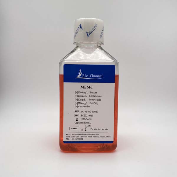 α-MEM培養(yǎng)基 BC-M-042