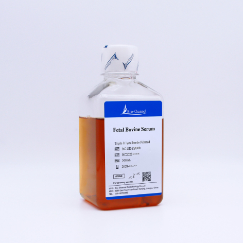 胎牛血清（Fetal Bovine Serum）