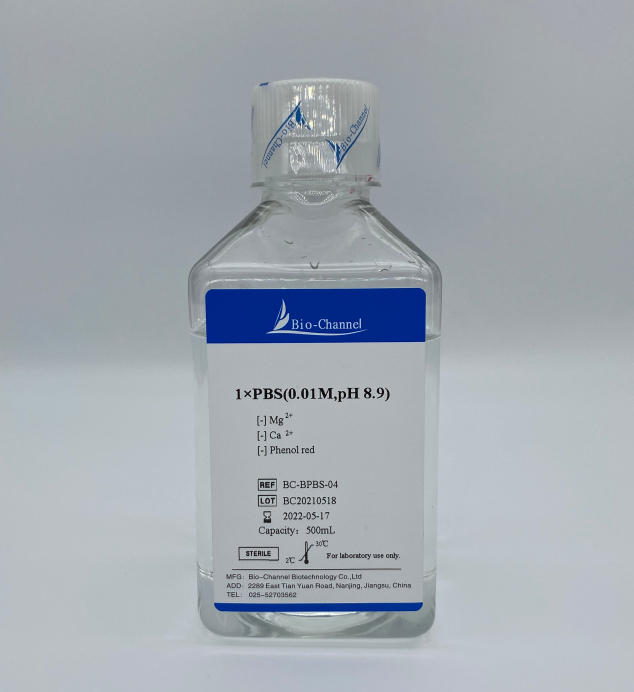 1×PBS(0.01M,pH 8.9) BC-BPBS-04