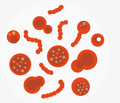 如何進(jìn)行血清滅活處理？