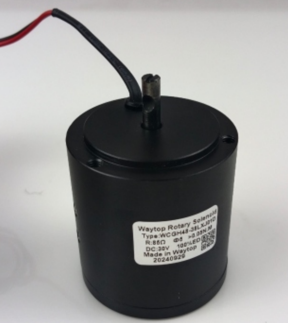 WCGH48双向力矩旋转电磁铁