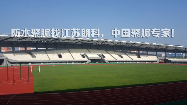 浦江体育中心看台朗科聚脲防护工程
