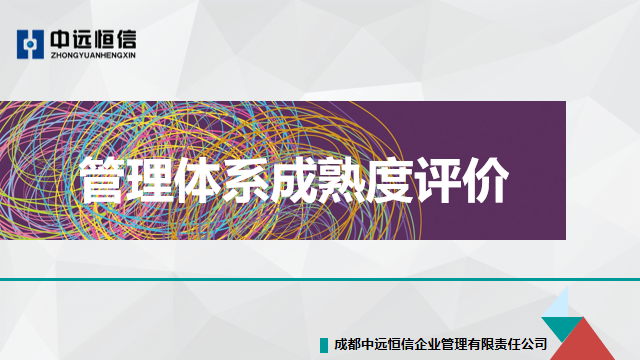 管理体系成熟度评价