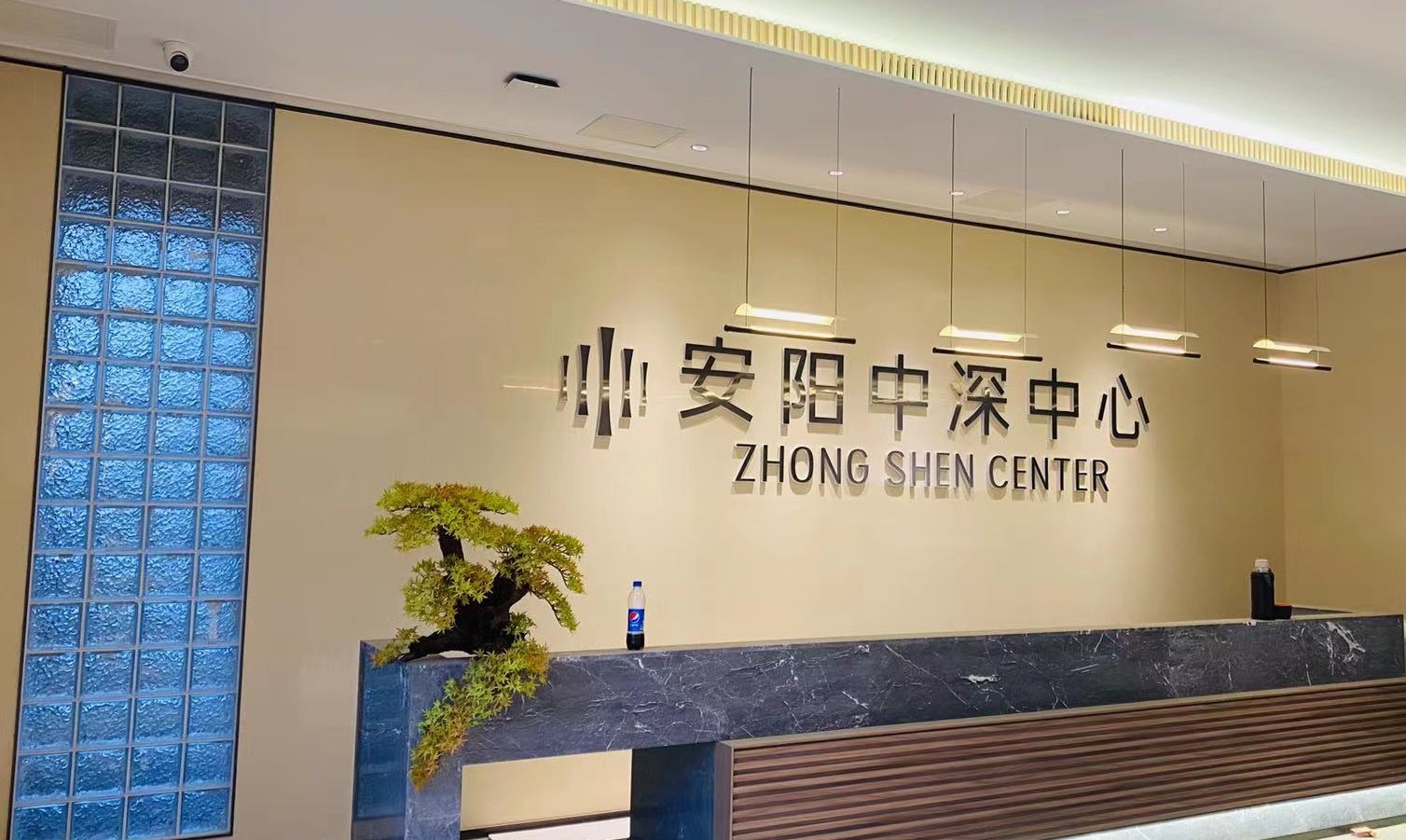 安阳中深中心项目正式竣工