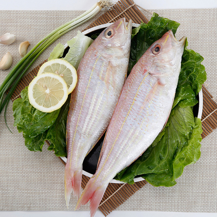 一夜埕金线鱼（红杉）