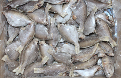 鯧魚