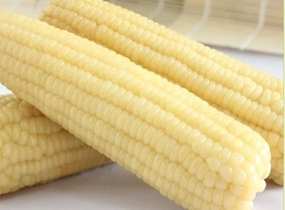 玉米棒