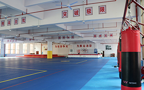 训练场馆