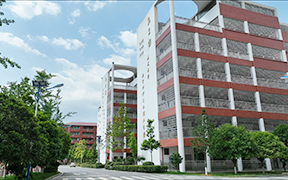 教学楼