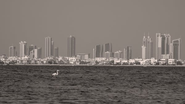 【装修】装修预约全攻略：别让第一步就踩坑！