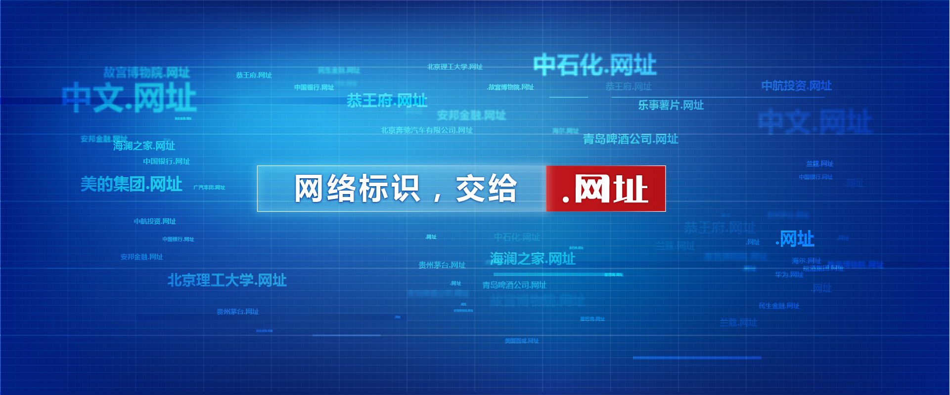 顶级中文域名“.网址”