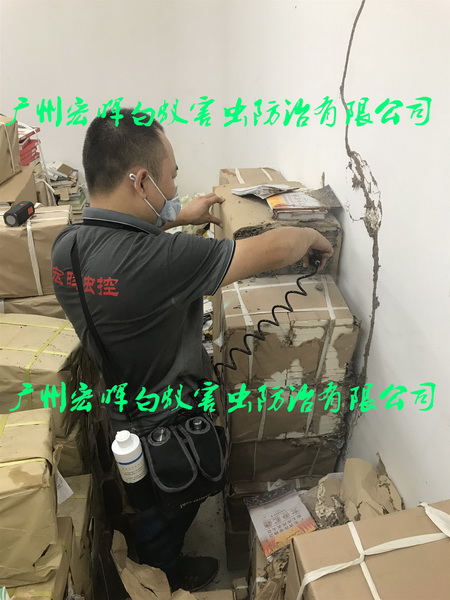 图书馆仓库灭白蚁