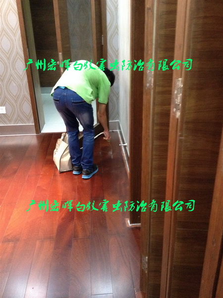 木地板喷药灭白蚁