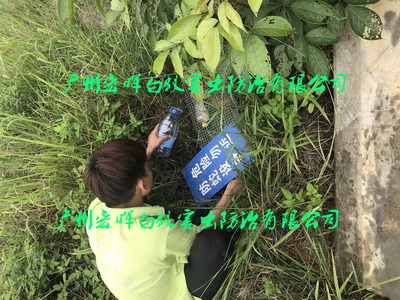 园区安装捕蛇装置