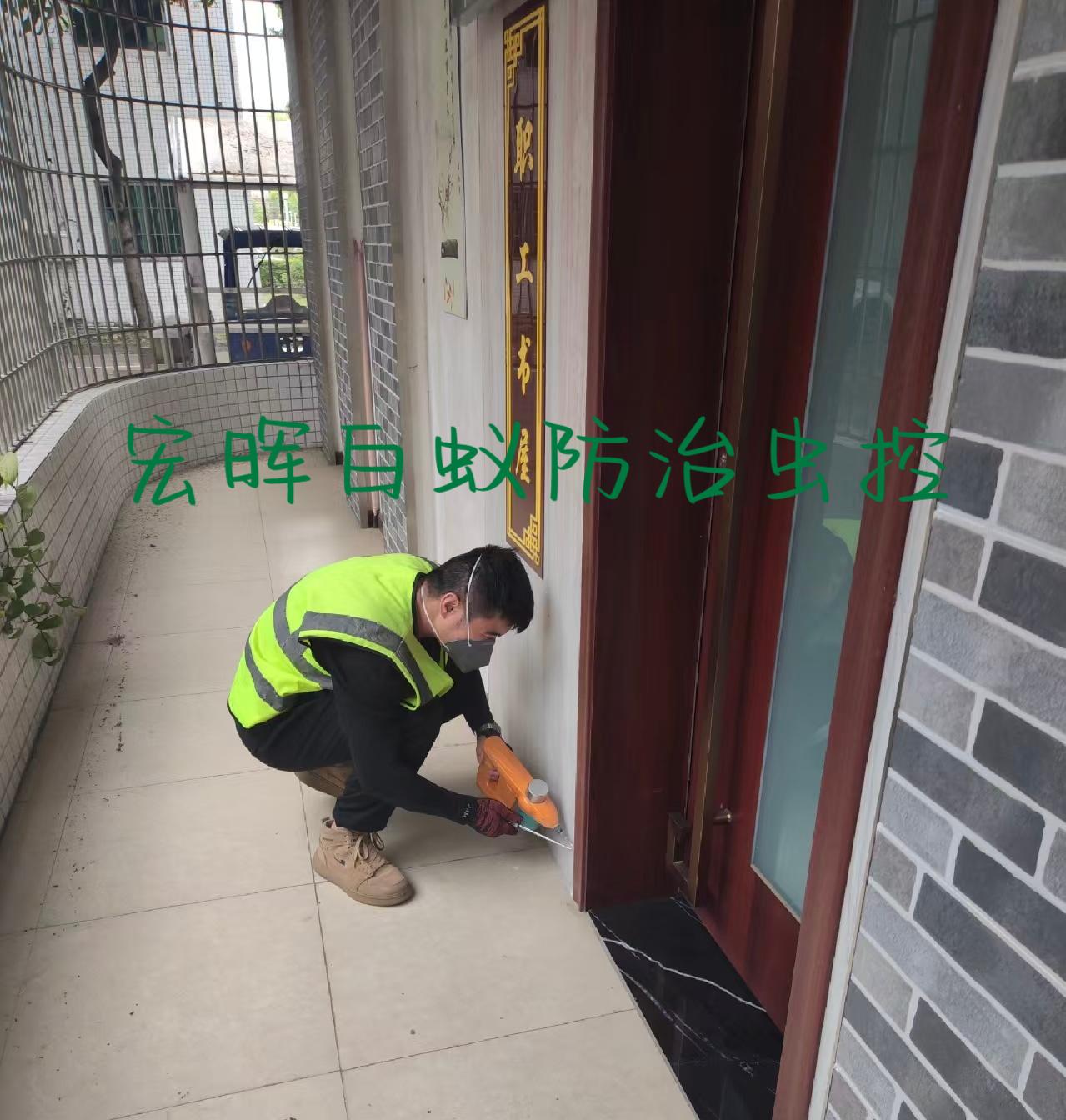 花都新华白蚁防治、灭白蚁、专业杀白蚁上门服务、售后服务一年起