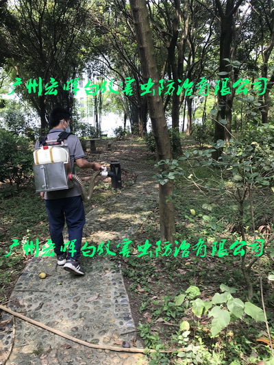 园区预防登革热