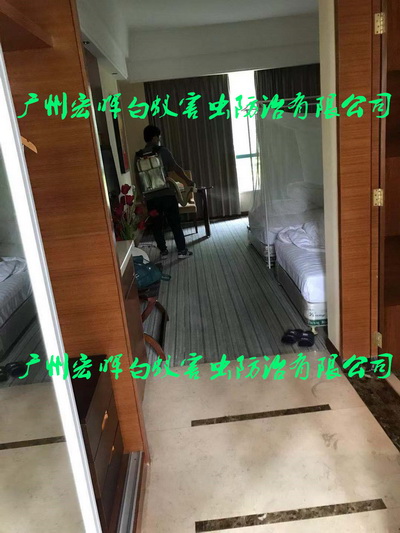 酒店灭蚊