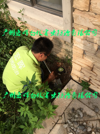 别墅安装白蚁监测装置
