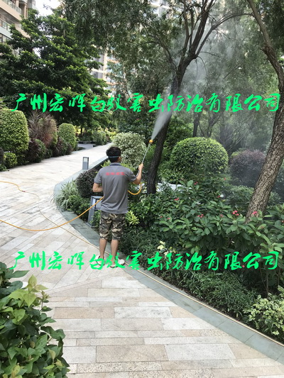 园区绿化树喷药预防白蚁