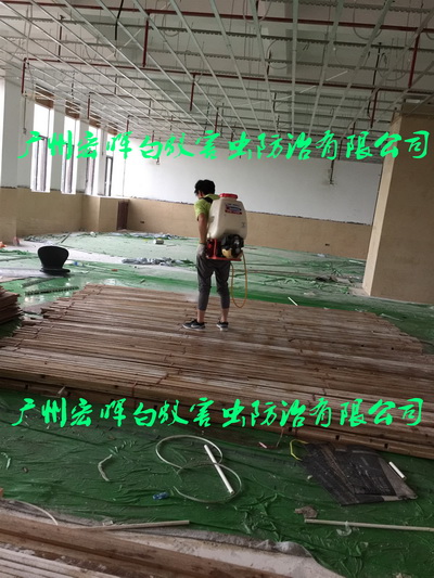 装修前木料喷洒预防白蚁药水