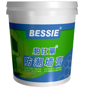 柏仕丽硅藻土防潮墙膏