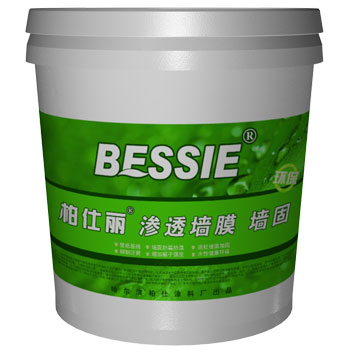 柏仕丽墙固地固