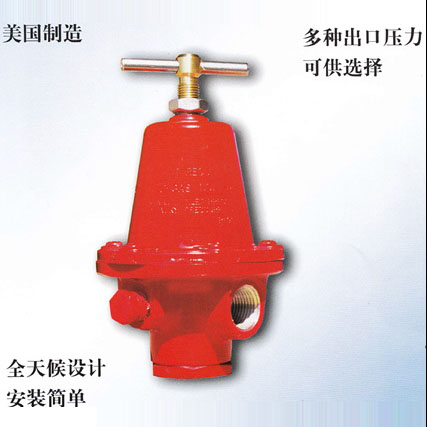 REGO调压器