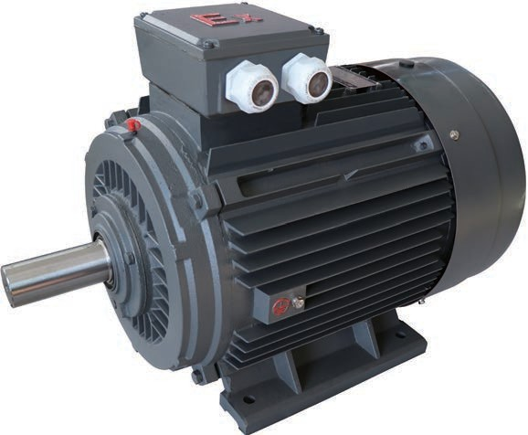 YFB2 Series For Dust Explosion-Proof Three-Phase Asynchronous Motor