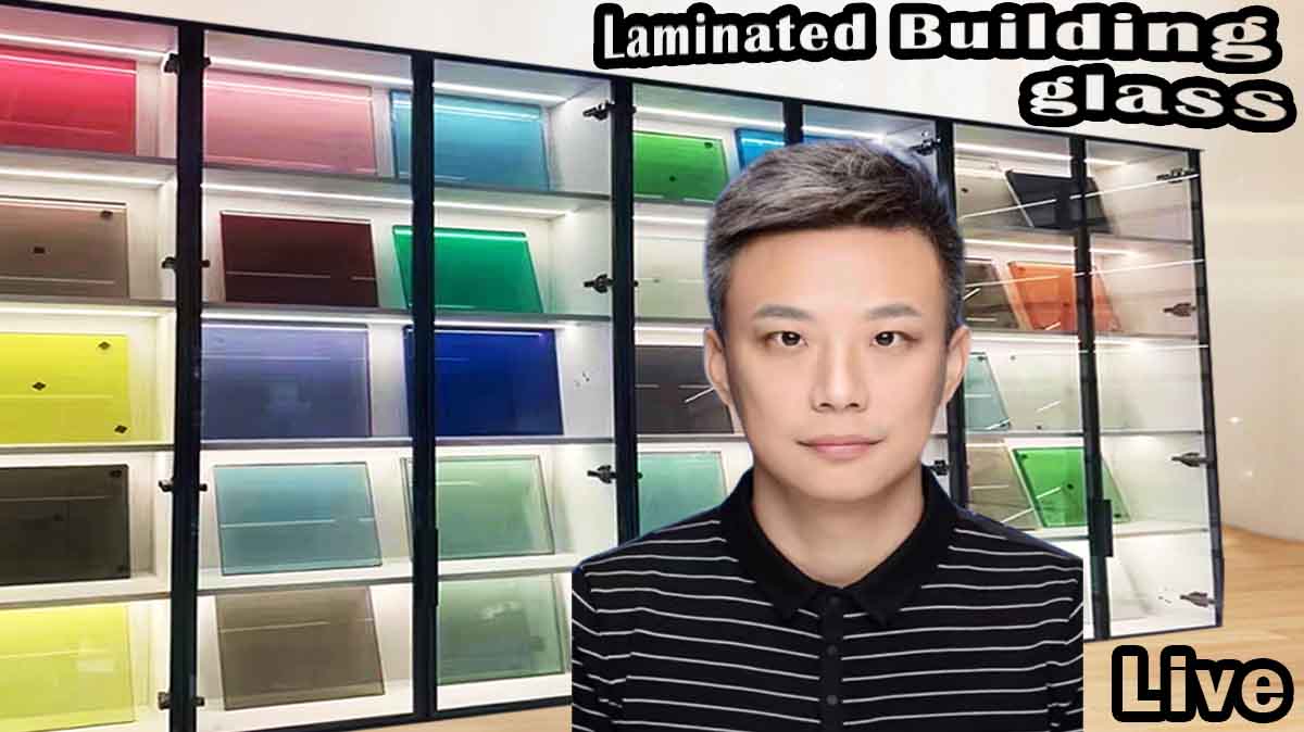 Annealed float glass Tinted Float Glass Building Glass
