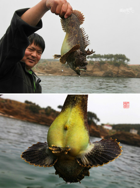 哈仙岛景点图片