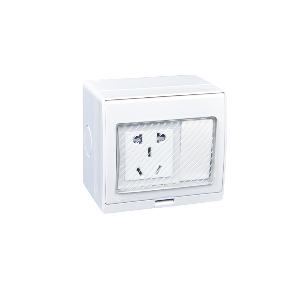 IGL-FHS(1Gang Switch Socket 10A/250V~)