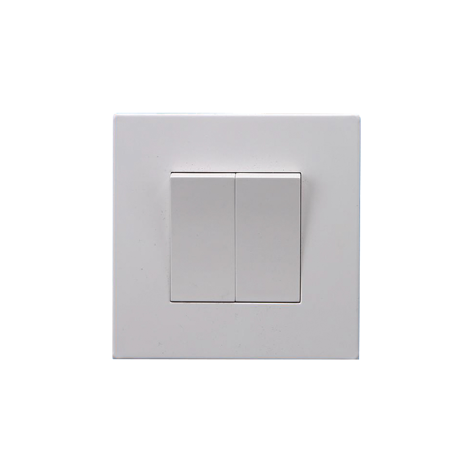 RGS-2GS (2 Gang Switch 16A-250V~)