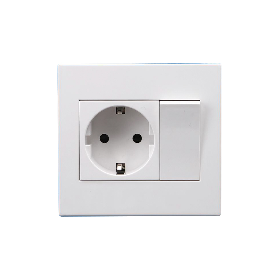 RGS-SRG (1 Gang Socket 16A-250V~)