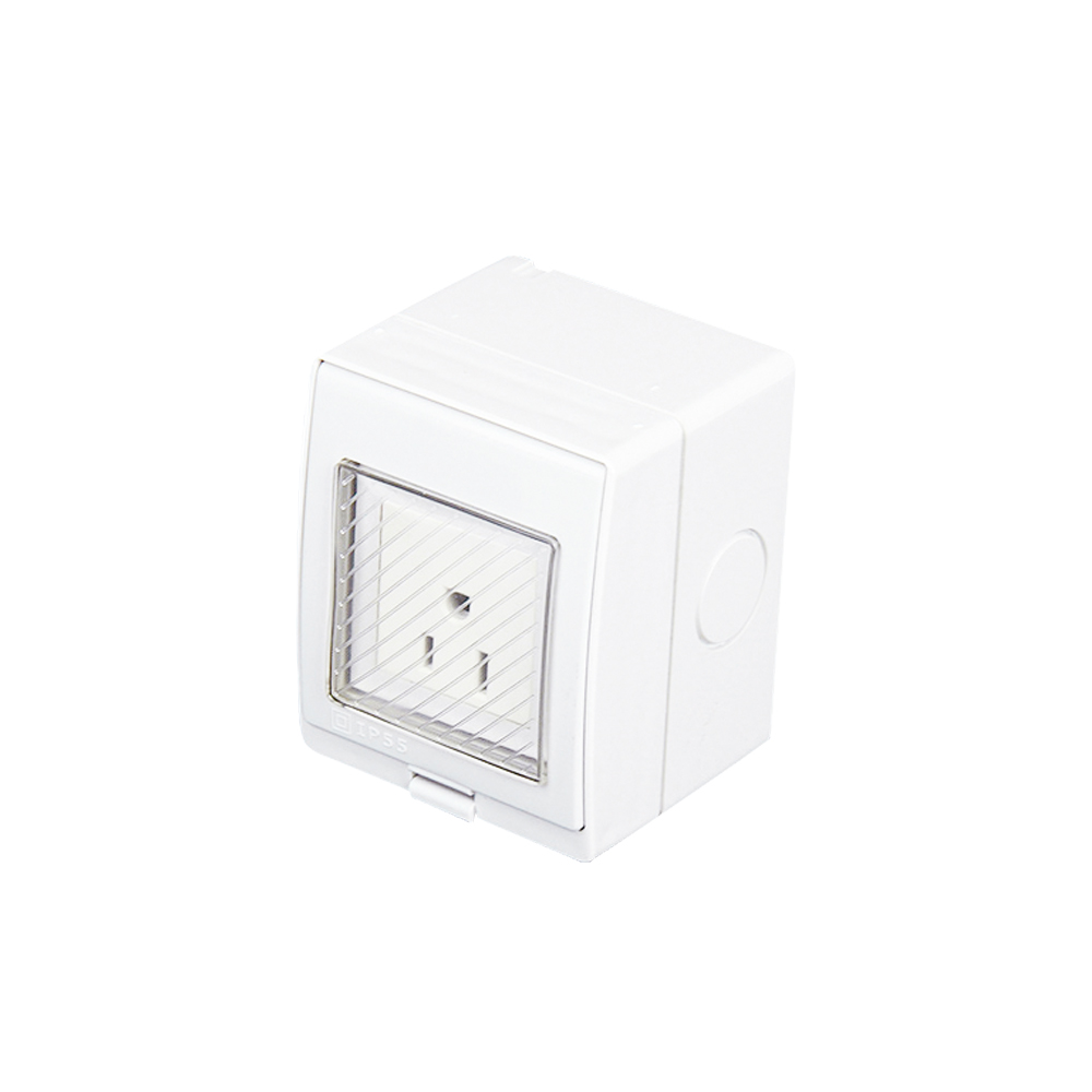 IGL-AM(1Gang Socket 10A/250V~)