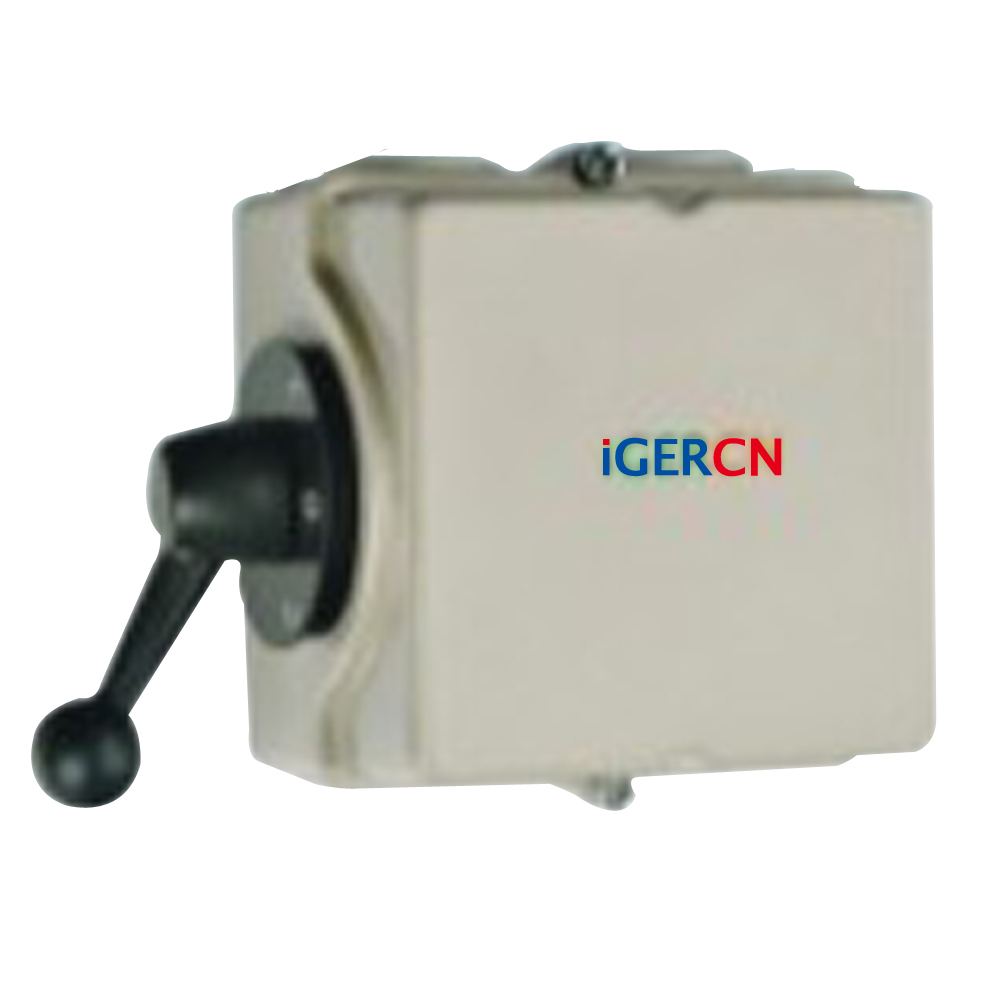 IGL1 changeover switch